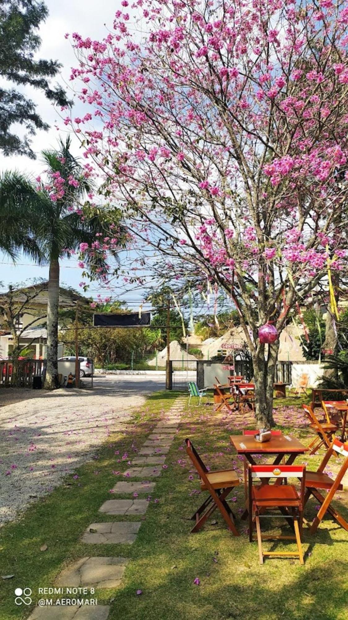 Florianópolis Nomades Vibe Da Ilha - Adventure Hostels & Coworking מראה חיצוני תמונה
